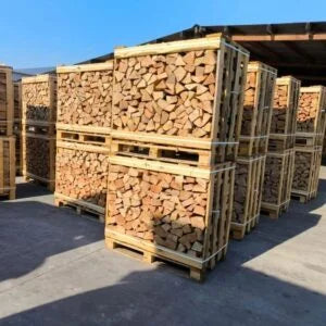 Bois de chauffage hêtre 25cm 2 mètres cubes séché au four BIESSEHOLZDE

