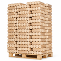 Briquettes bois aggloméré résineux palette 960kg BIESSEHOLZDE
