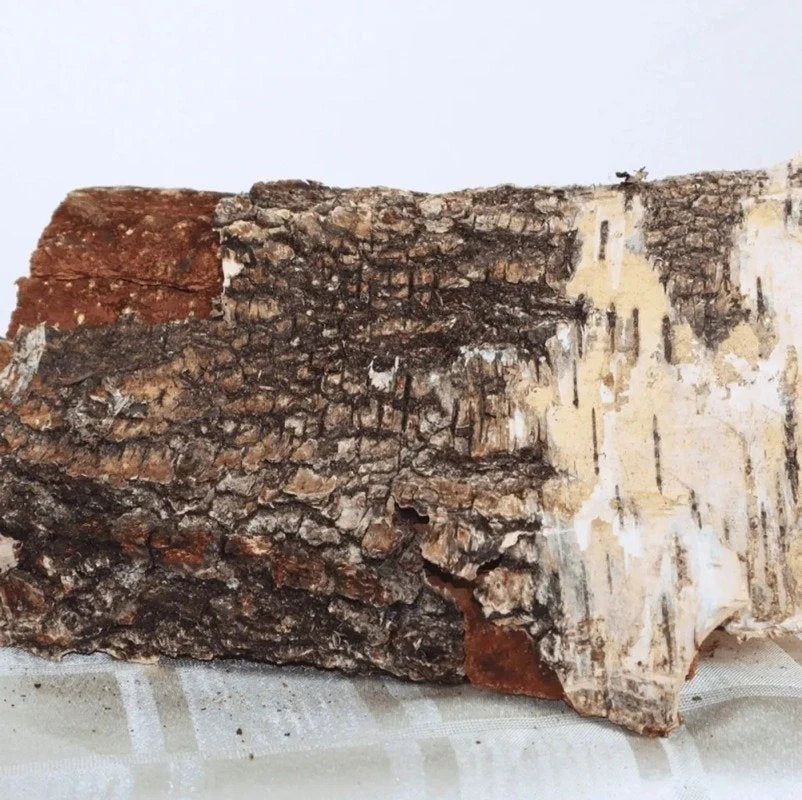 Mélange bois de chauffage 25cm 4 cubes chêne hêtre bouleau aulne BIESSEHOLZDE

